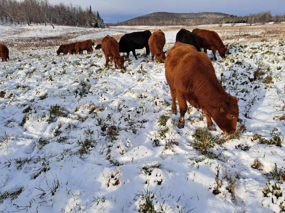 We're Hiring Regenerative / Organic Livestock Production Manager (Ful