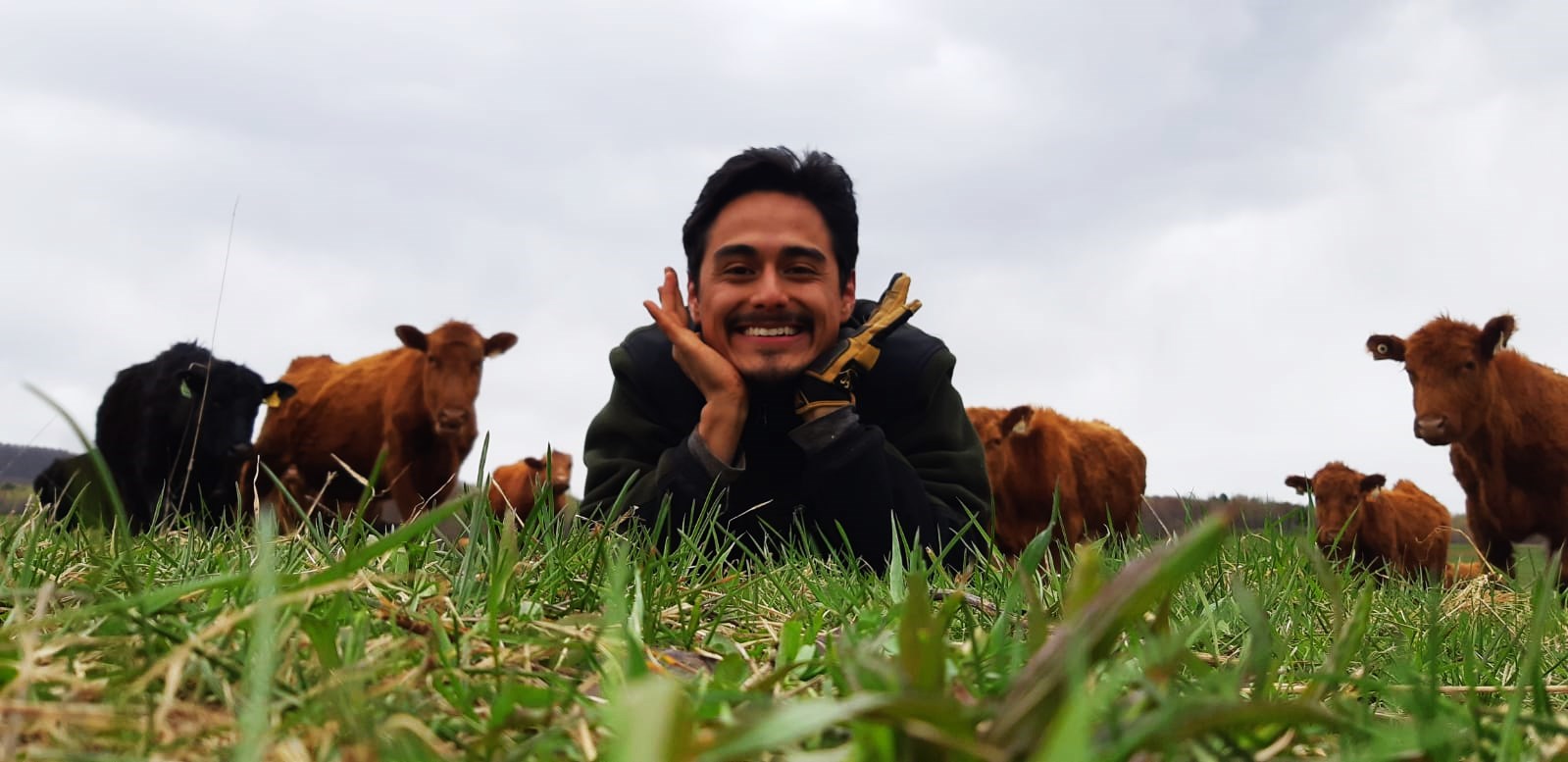 Big welcome to our grass, grazing and herd hand Carlos!