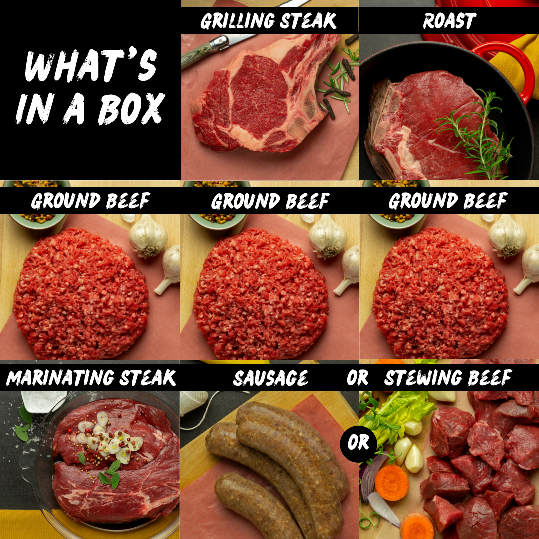Beef Enter Code Grass-fed Beef Starter Box – Grazing Days