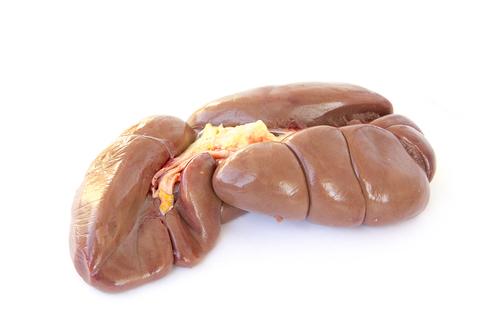 Beef Kidney